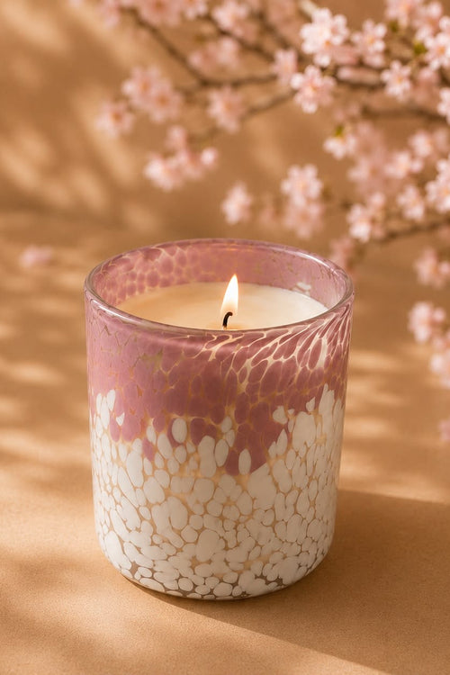 Cherry Blossom