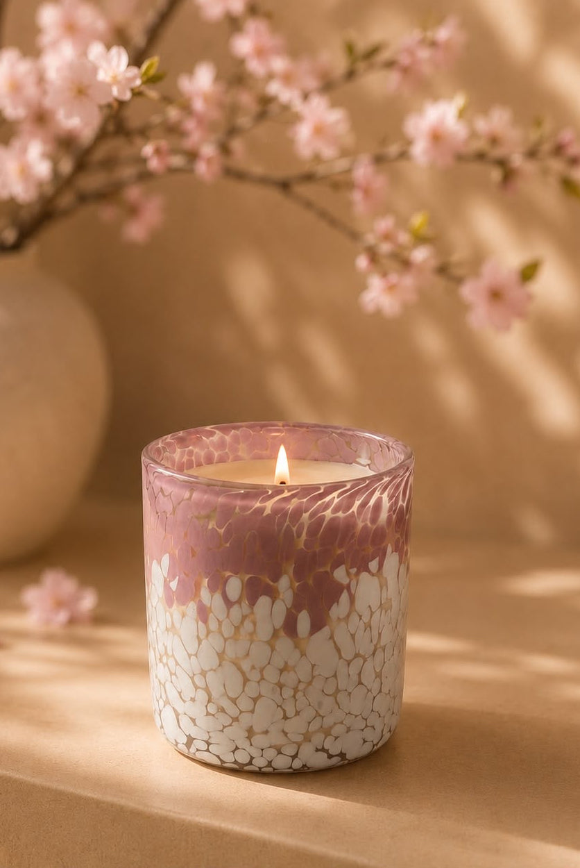 Cherry Blossom